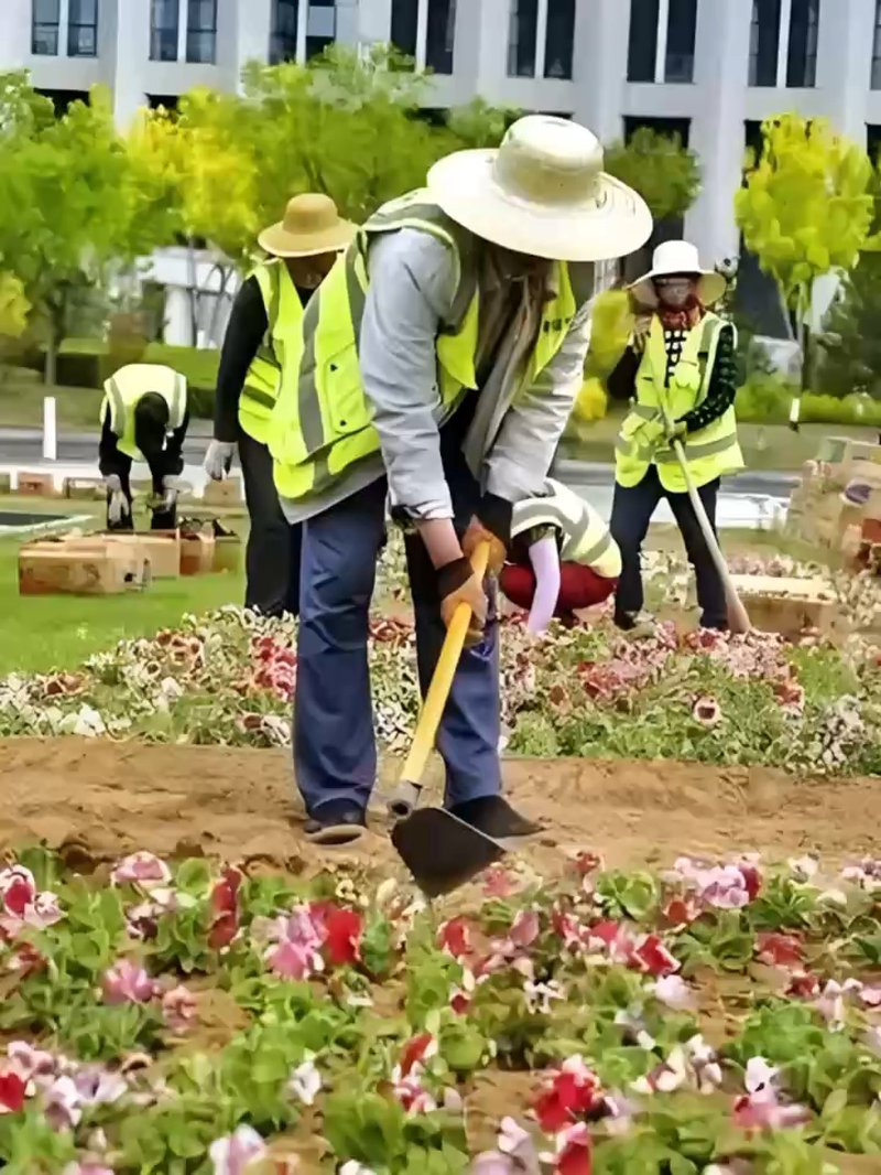 园林绿化施工